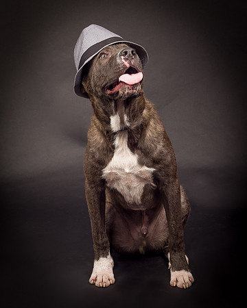 Foster Captain-1301