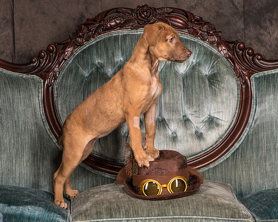 Foster Bronwyn-8276