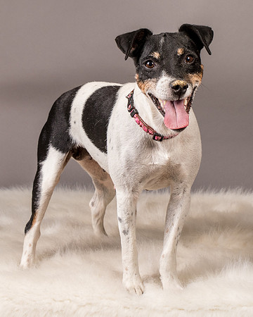 Foster Pollyanna-3940