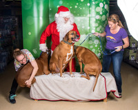 Santa Claus-3288