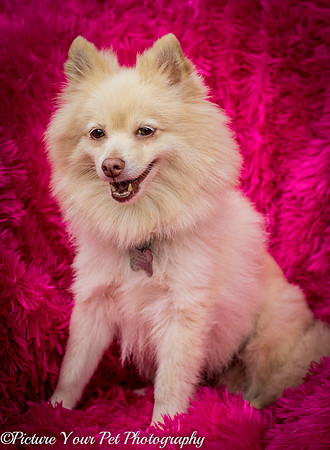 Foster Laverne-6349