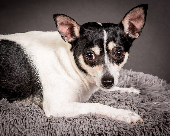 Foster Richa-0505