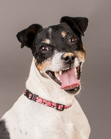 Foster Pollyanna-3903