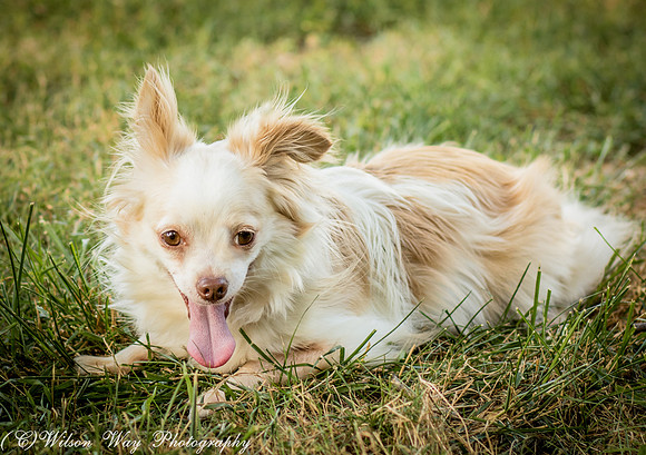 Foster Sam-4176