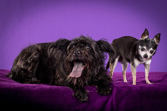 Naya And Rhumba-4777