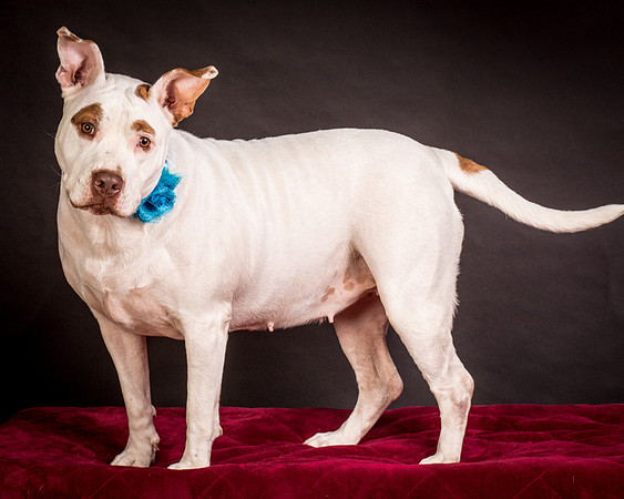 Foster Joanie-0461