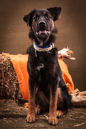Foster Gray-6711