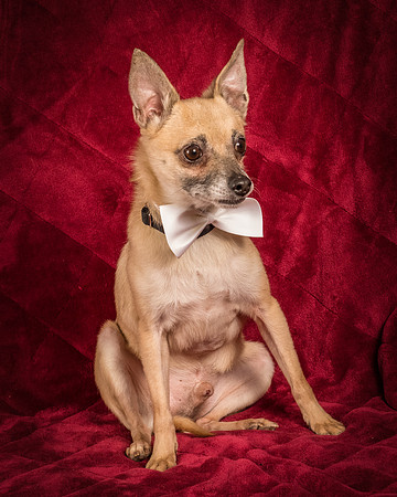 Foster Kiwi-8667