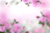 Frame_7