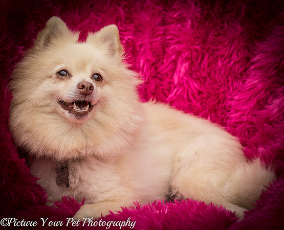 Foster Laverne-6311