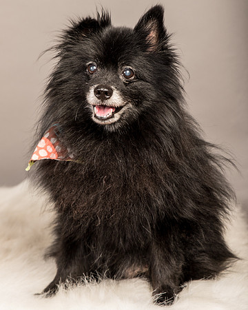 Foster Wayne-8065