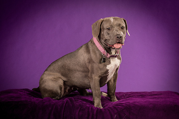 Daisy and Renegade-2553