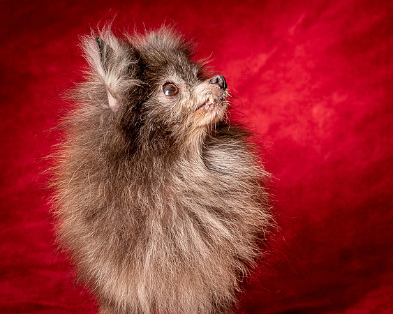 Foster Loretta-1359
