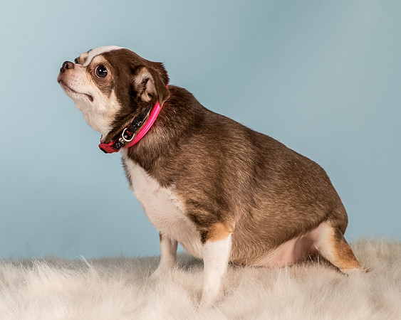Foster Sophie-5195