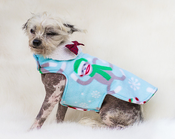 Foster Freckles-7722