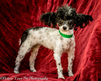 Foster Lillian-2946