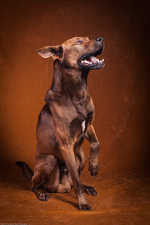 Cinna-9772