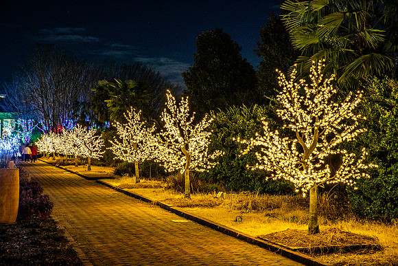 Christmas-2900