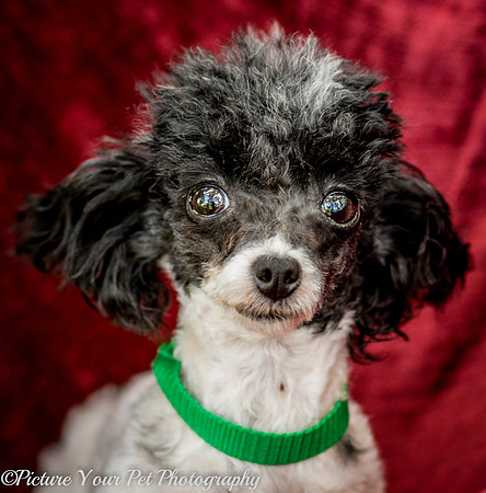 Foster Lillian-2992