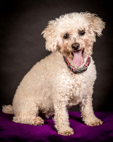 Foster Mae-8944