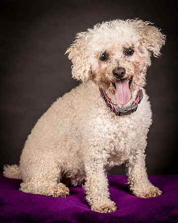 Foster Mae-8944
