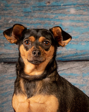 Foster Jolie-7176