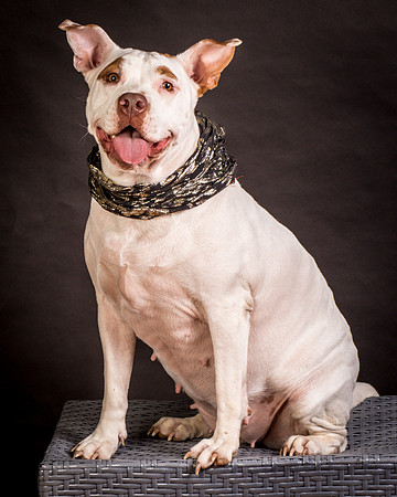 Foster Joanie-0440