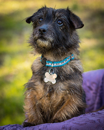 Foster Inky-4174