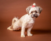 Foster Frida-9754