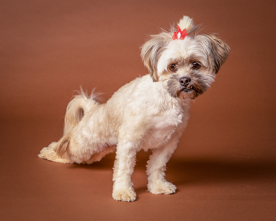 Foster Frida-9754