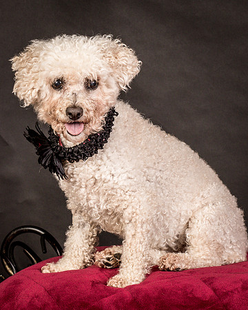 Foster Mae-9119