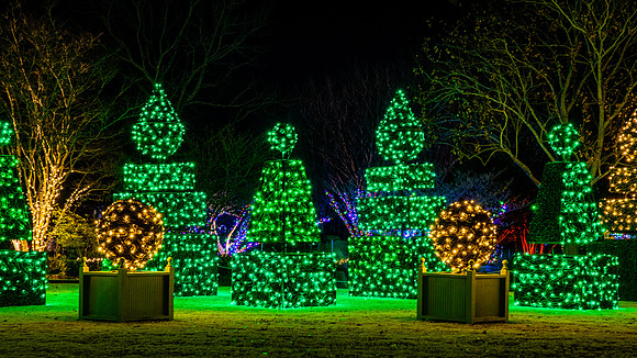 Christmas-2935