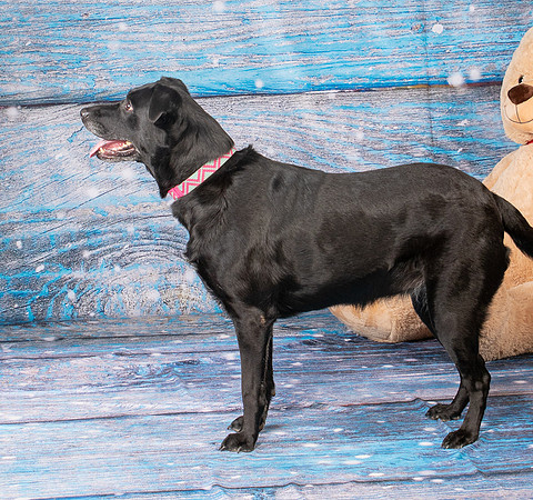 Foster Beatrice-4064