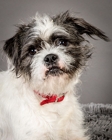 Foster Leeza-2643