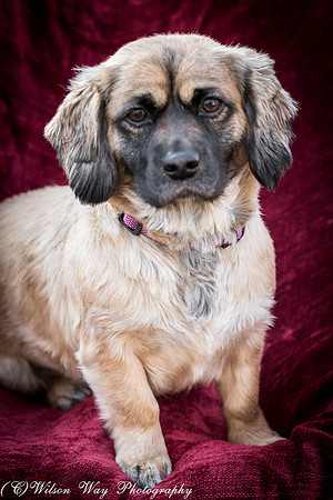 Foster Trudy-46