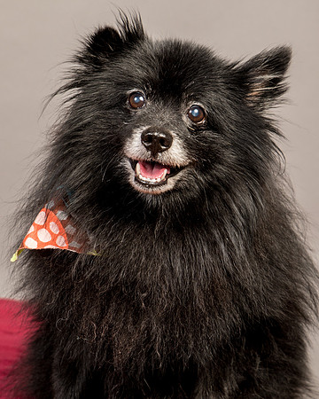 Foster Wayne-7964