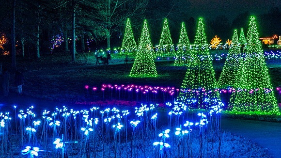 Christmas-2789