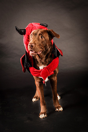 Charley-8281