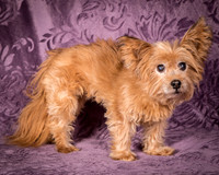 Foster Nessa-5670
