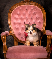 Foster Gabe-4386