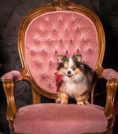 Foster Gabe-4386