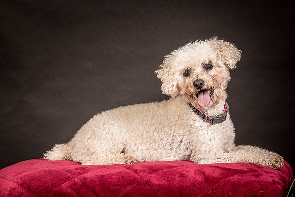 Foster Mae-9013