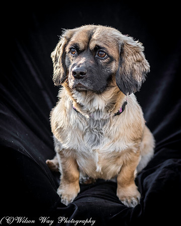 Foster Trudy-29