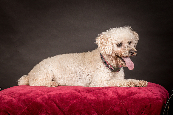 Foster Mae-9008