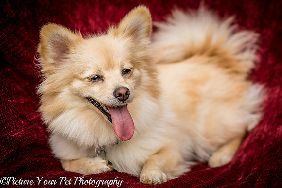 Foster Shirley-6110
