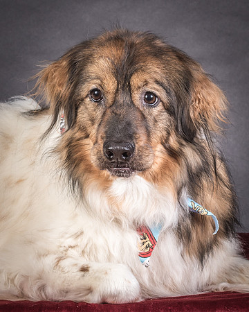 Foster Kai-8393