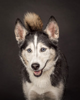 Bella-2425