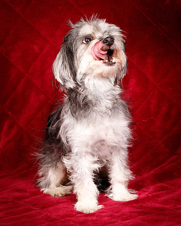 Foster Alex-6287