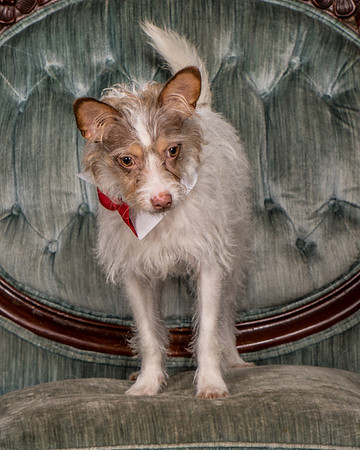 Foster Reagan-4903