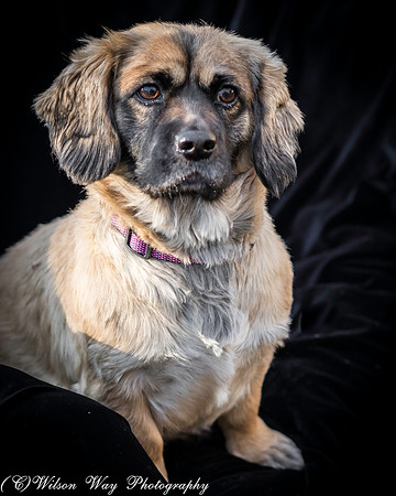 Foster Trudy-27